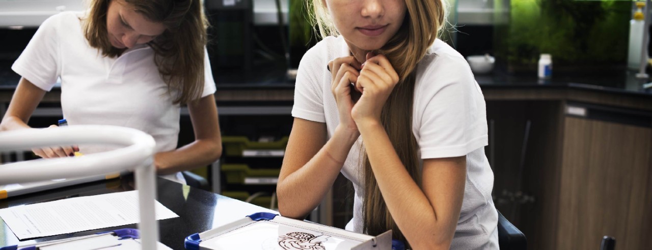 Girl learning on desk with arms underneath her chin with paper work infront of her.